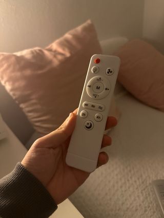 Ventilador de techo con luz