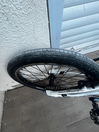 Bici BMX Race Talla Pro