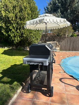 Asador Barbacoa Masterbuilt Negro/Plata ACERO