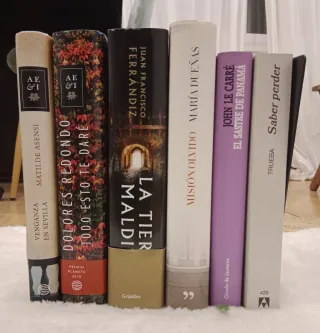 LOTE 6 LIBROS – Narrativa, thriller y novela