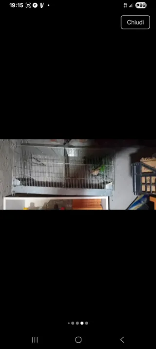 Gabbia per uccelli zincata 90 cm