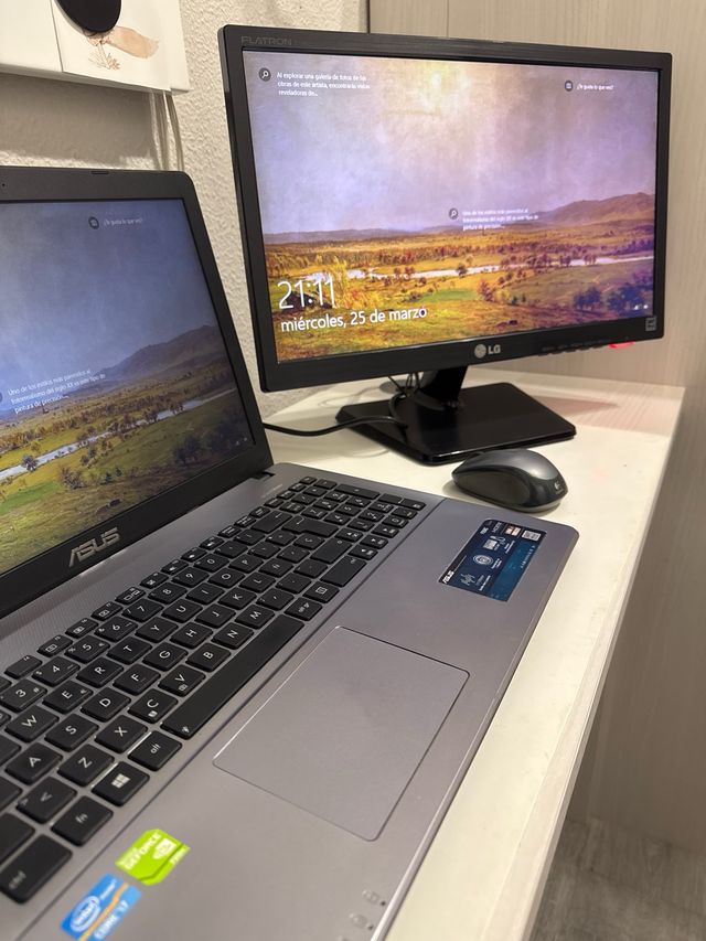 Monitor LG FLATRON E1942 Negro