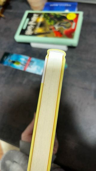 Harry Potter Y La Piedra Filosofal