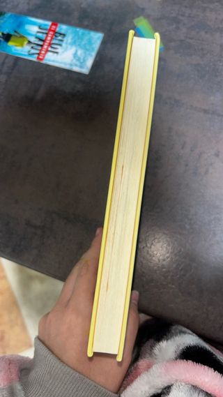 Harry Potter Y La Piedra Filosofal