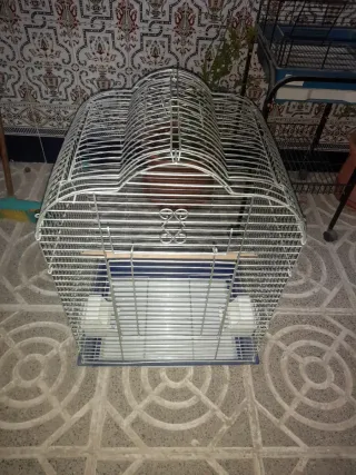 Jaula para loro grande