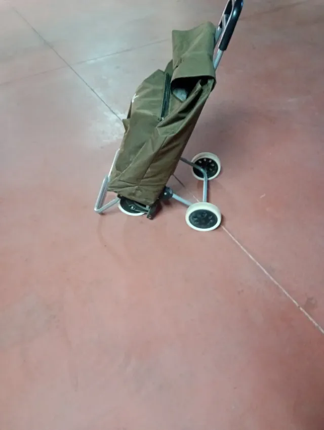 Carro de la compra plegable