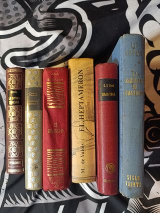 Lote clásicos literatura Dante Boccaccio Flaubert