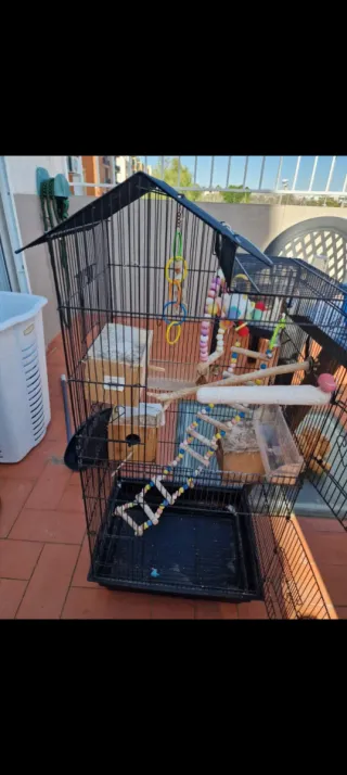 Jaula para pájaros con accesorios