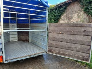 Remolque para caballos