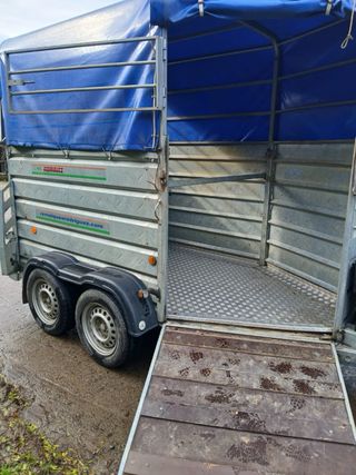 Remolque para caballos