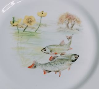 Vajilla de porcelana con peces y flores