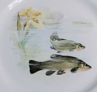 Vajilla de porcelana con peces y flores