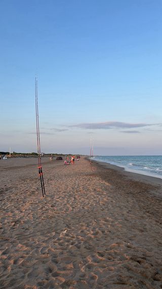 Cañas Vercelli Enygma Mozzafiato Surfcasting