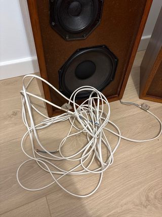 Altavoces de madera Philips