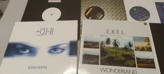 2x Technics SL-1210MK5 con Tapa + Lote 160 Vinilos