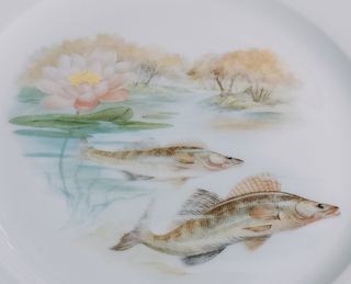 Vajilla Limoges de porcelana con peces