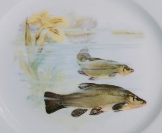 Vajilla Limoges de porcelana con peces