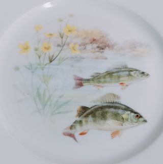 Vajilla Limoges de porcelana con peces