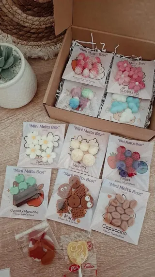 Pack Wax Melts 10 Olores