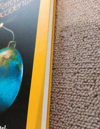 Terrorismo occidental