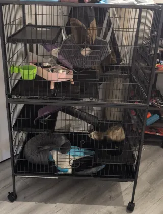 Jaula para hurones PawHut