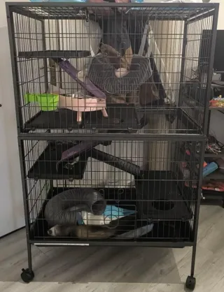 Jaula para hurones PawHut