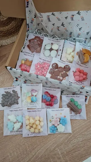Caja Degustación 15 olores Wax Melts