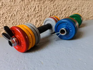 Pesas ajustables con discos