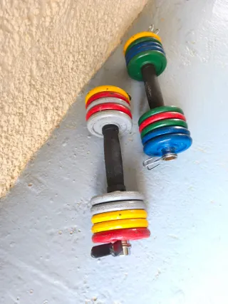 Pesas ajustables con discos