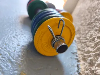 Pesas ajustables con discos