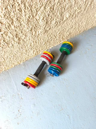 Pesas ajustables con discos