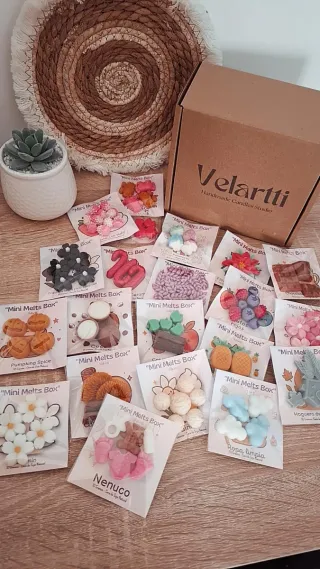 Caja Degustación 20 olores Wax Melts