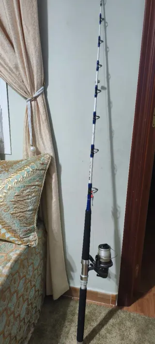 Caña de pescar con carrete