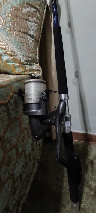 Caña de pescar con carrete