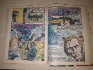 Comics judo karate kung fu