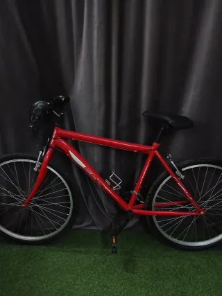 Bicicleta de Montaña Roja