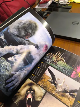 2 Libros National Geographic 125 años