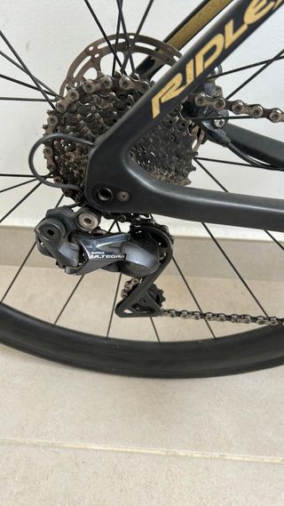 Ridley Noah Fast Disc Negra/Dorada