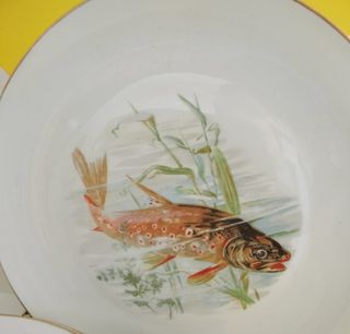 6 Platos Peces Porcelana Francesa Limoges