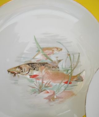 6 Platos Peces Porcelana Francesa Limoges