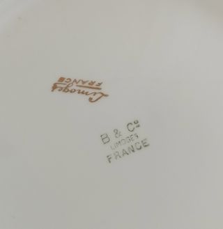 6 Platos Peces Porcelana Francesa Limoges