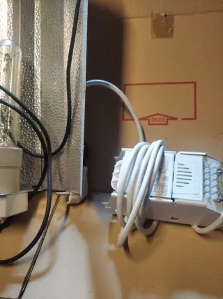 Lámpara y transformador para cultivo