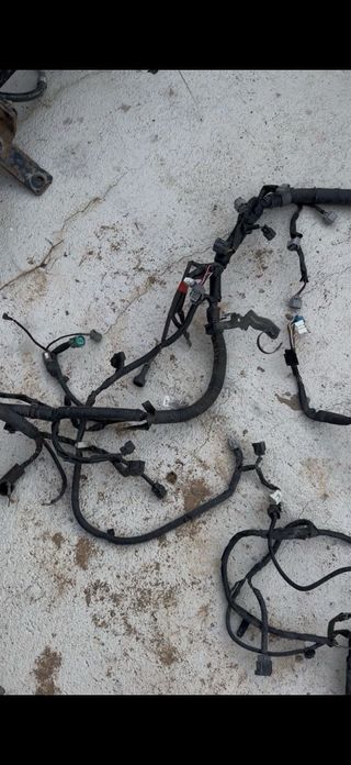 Cableado Suzuki Vitara