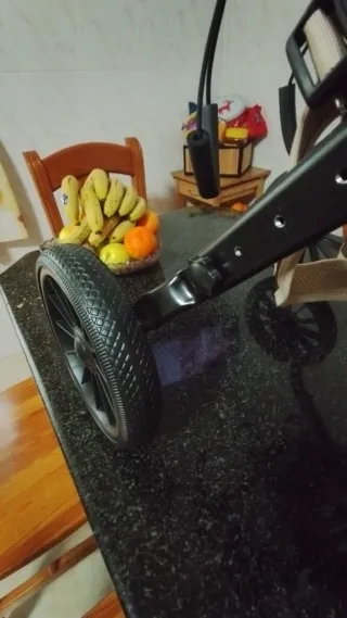 Sedia a rotelle per cani