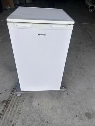 Nevera pequeña