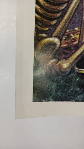 Poster Grateful Dead Originale UK 1981