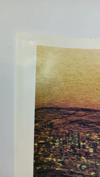 Poster Grateful Dead Originale UK 1981