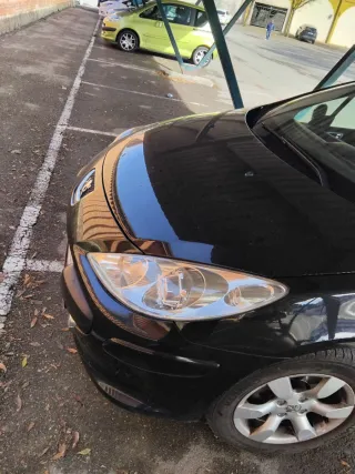 Peugeot 307 2007
