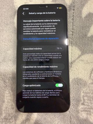 iPhone 12 Pro Max 256GB Gris