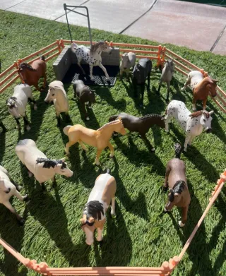 Conjunto Granja Hípica y Figuras Schleich